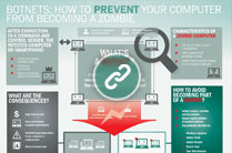 Botnet Infographic