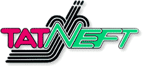 TatNeft (AO)